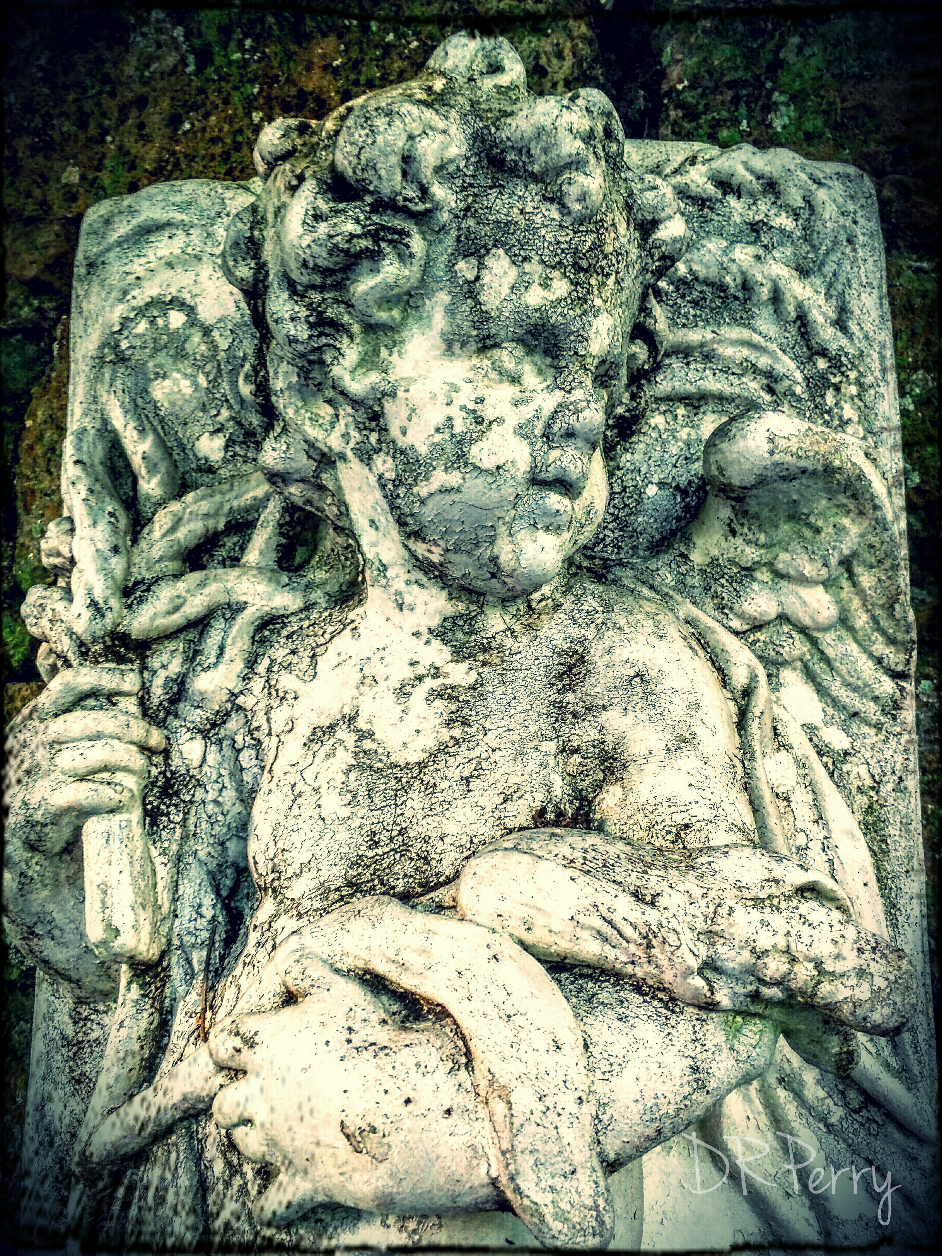 IMG_20151115_125630~2_Sophia_Pint