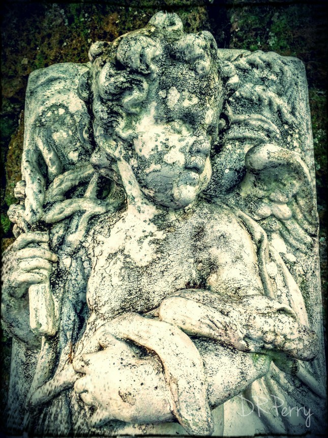 IMG_20151115_125630~2_Sophia_Pint