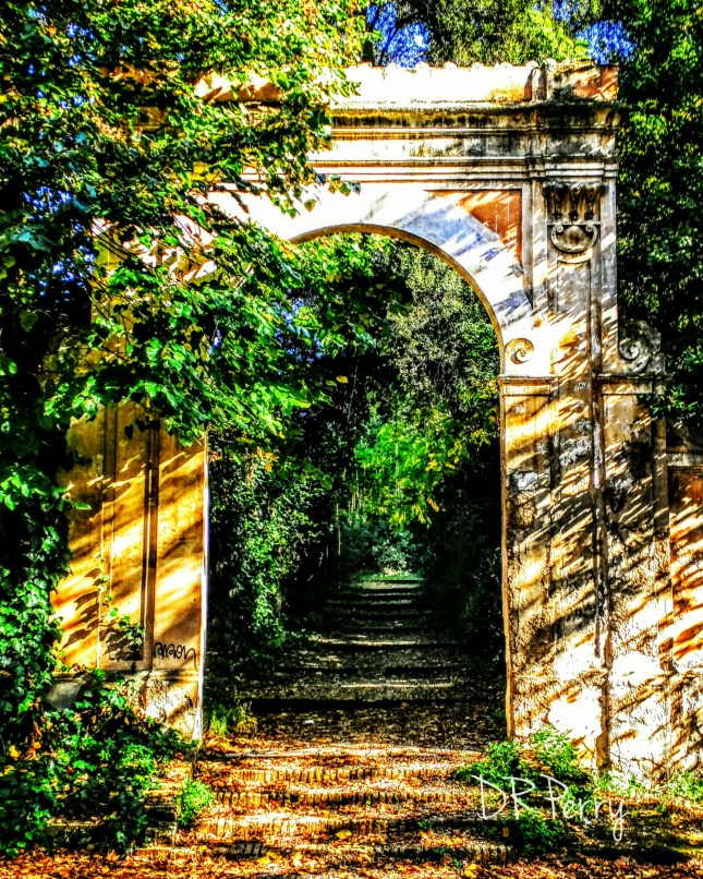 wp-1448658527889 image