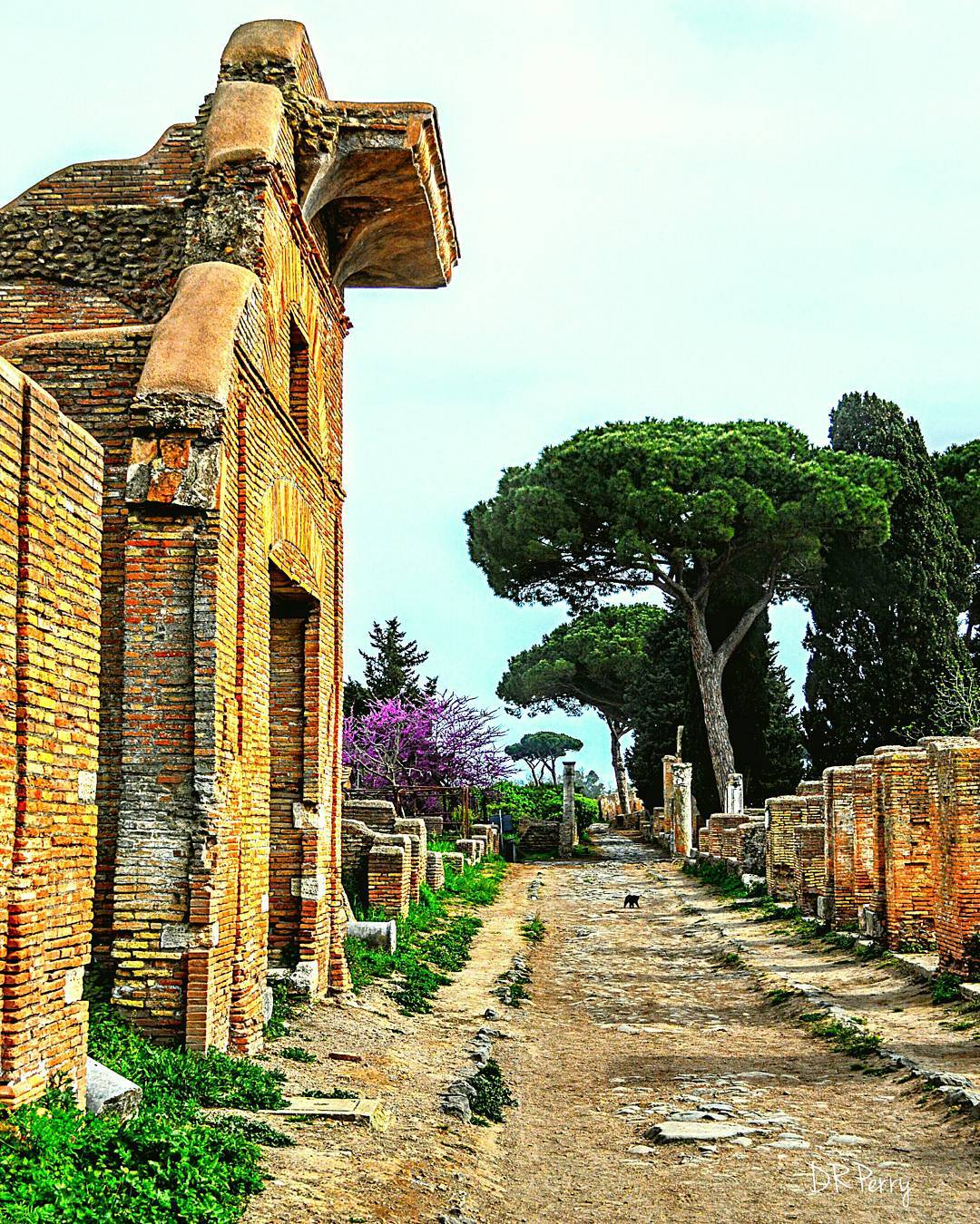 b2ba4-12445891_1742113079333548_2053141699_n