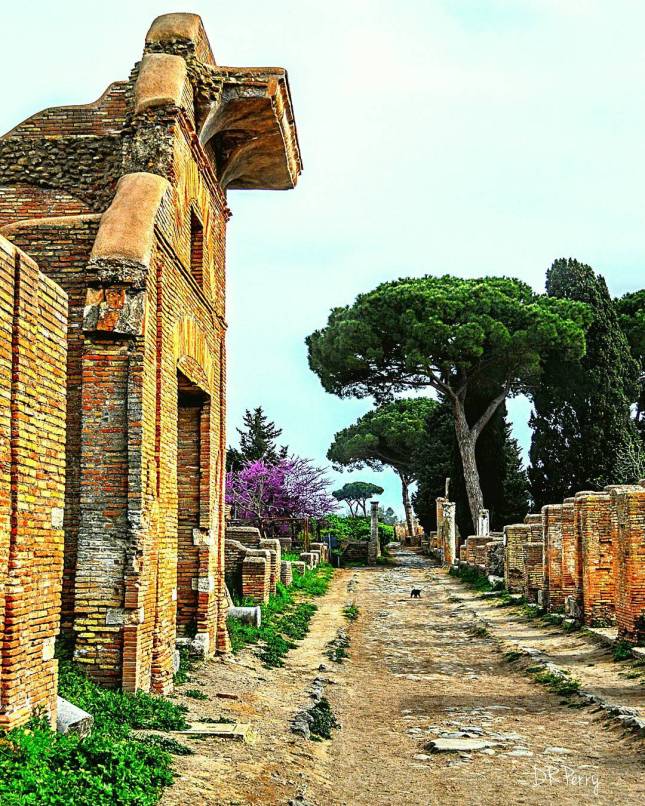 b2ba4-12445891_1742113079333548_2053141699_n